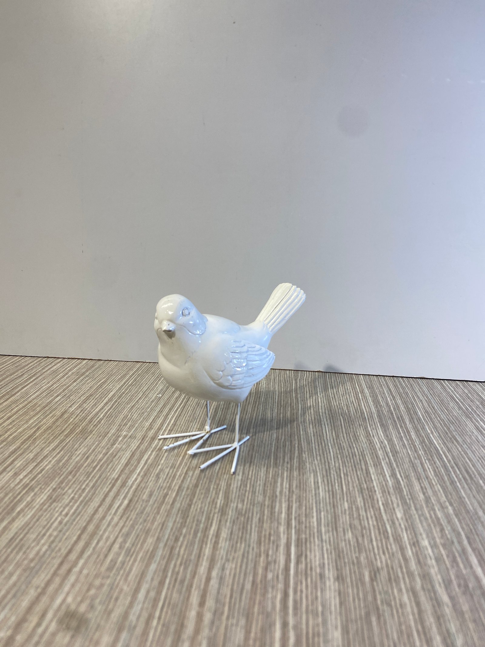 Pajaro Blanco Con Paticas
