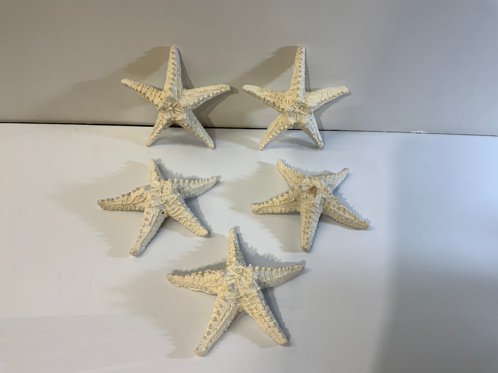 Estrella De Mar Con Textura Gruesa Medianas ( 14 Cm Ancho)
