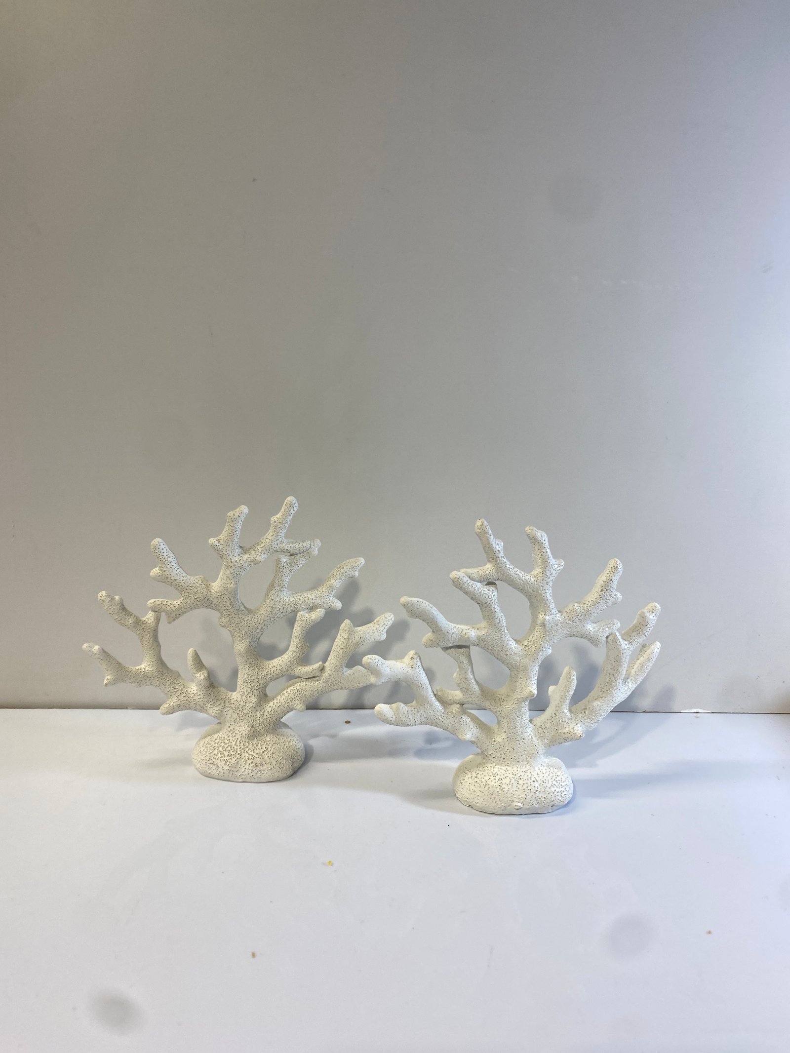 Coral Ceramica Blanco Para Mesa
