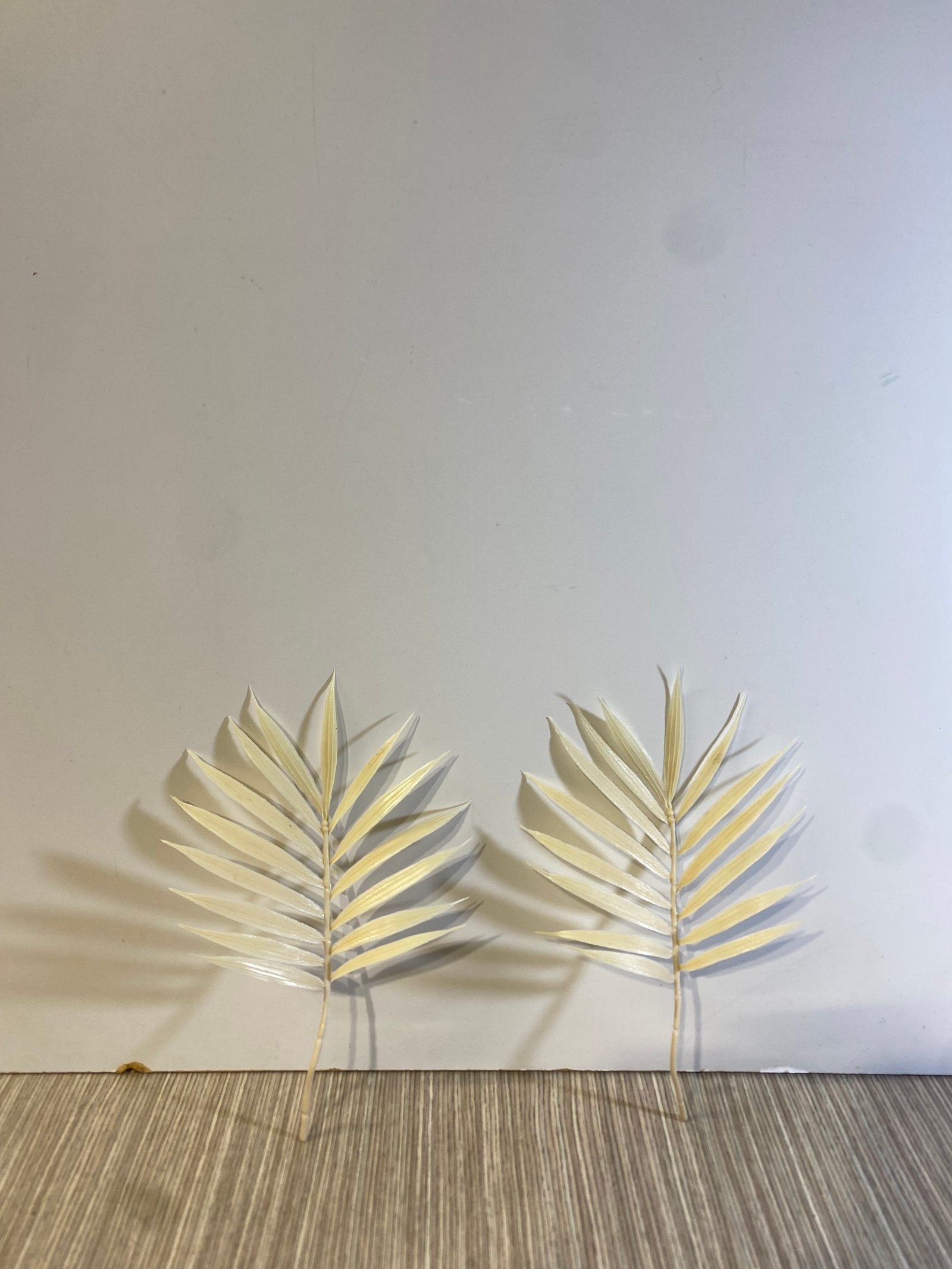 Hojita Beige Plastica Para Jarron