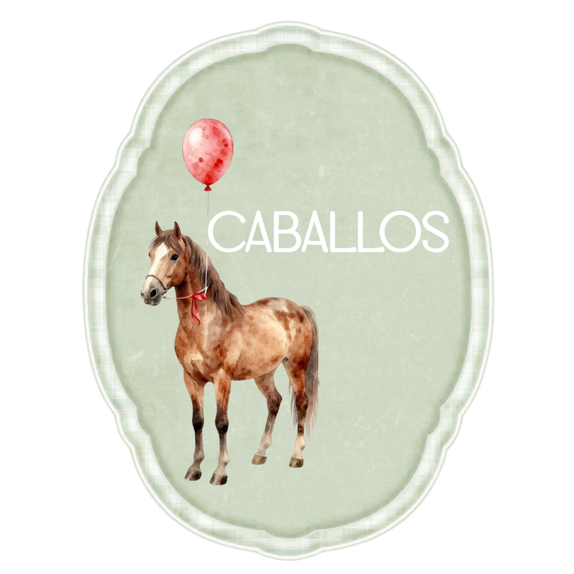 Caballos/country/western/Texano