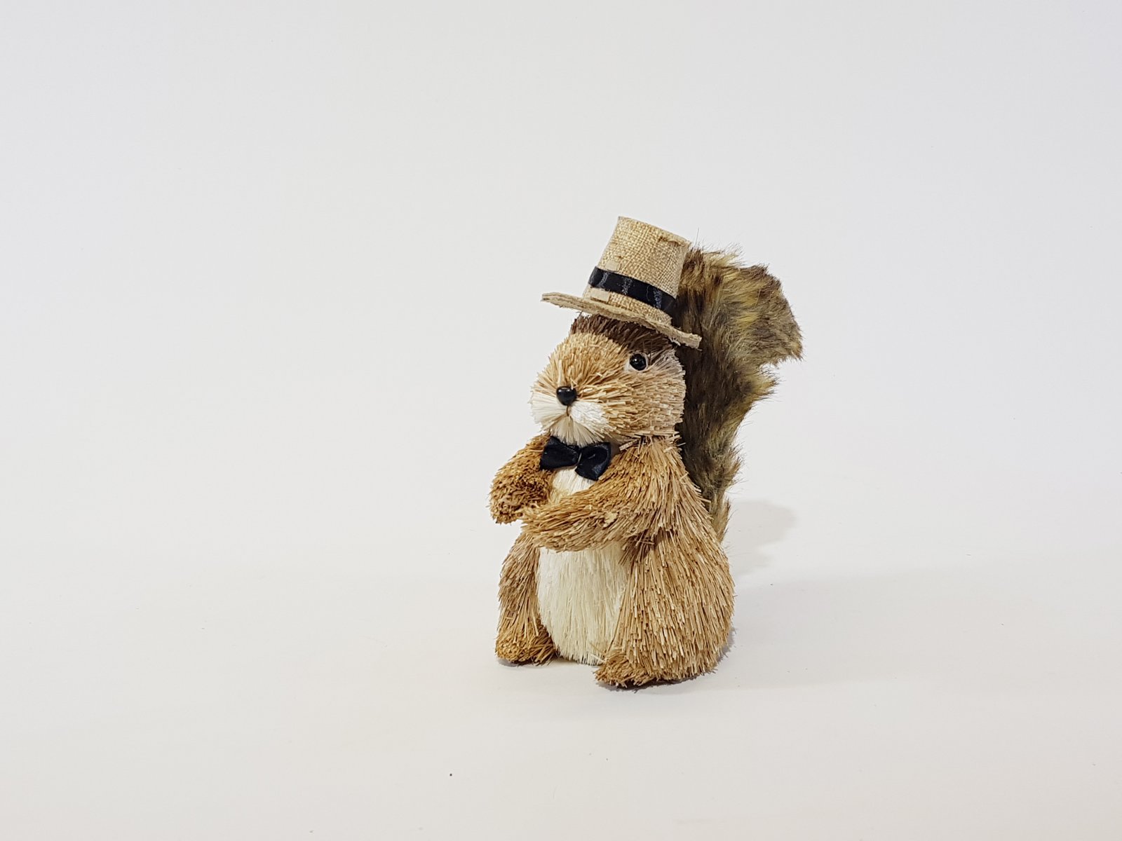 Ardilla Con Sombrero