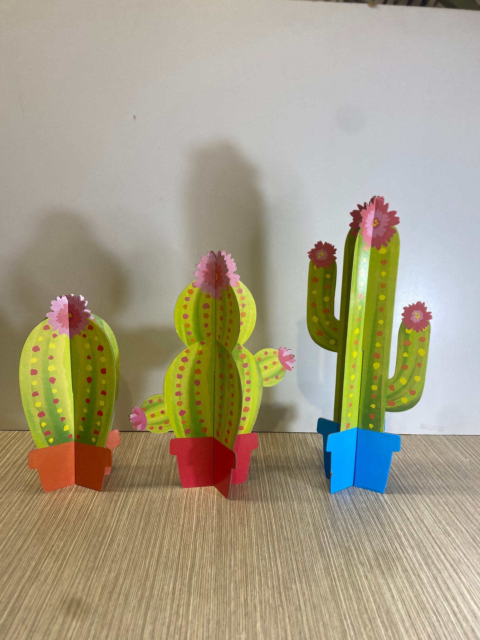 Cactus Carton 
