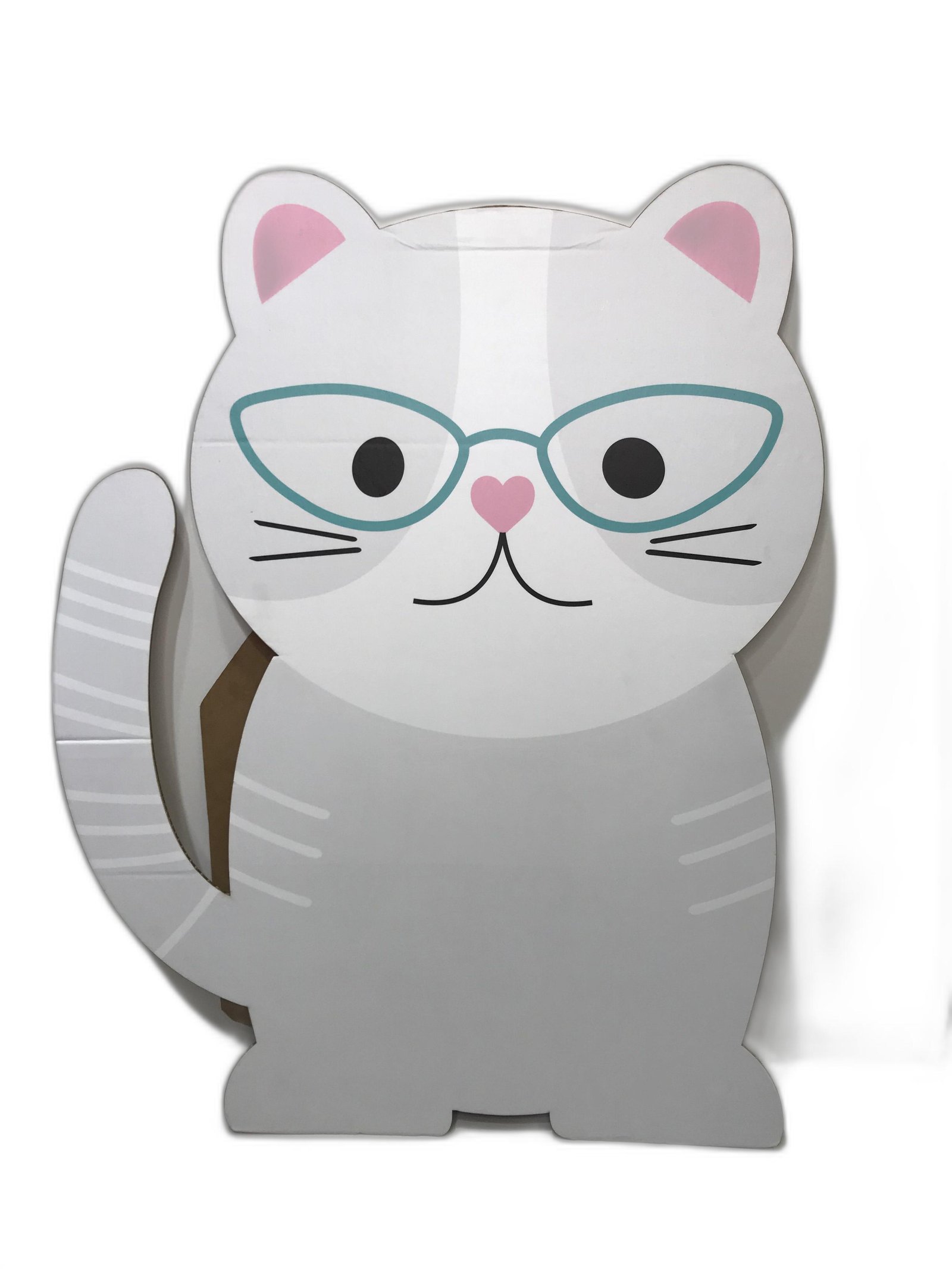 Gata Cartón Gris Gafas Agua Marina