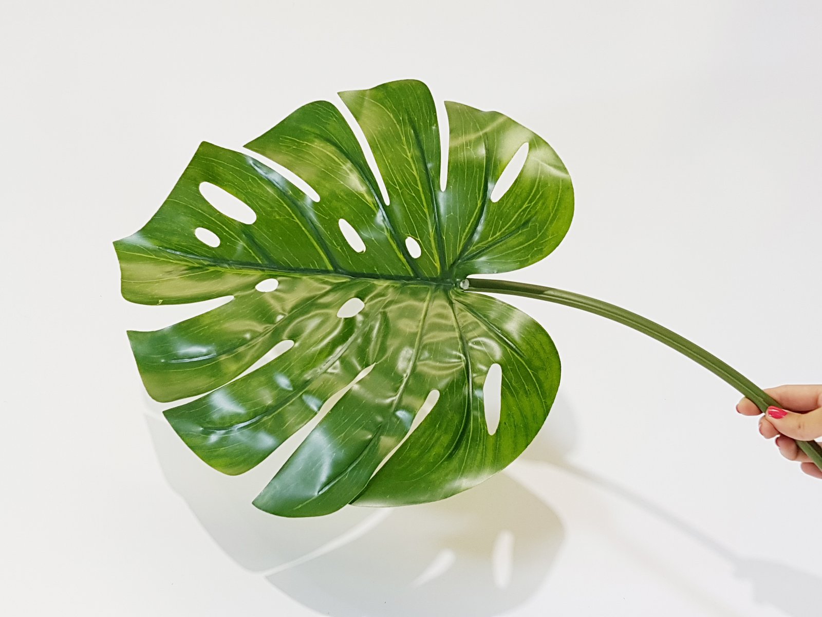 Hoja Verde Balazo Grande