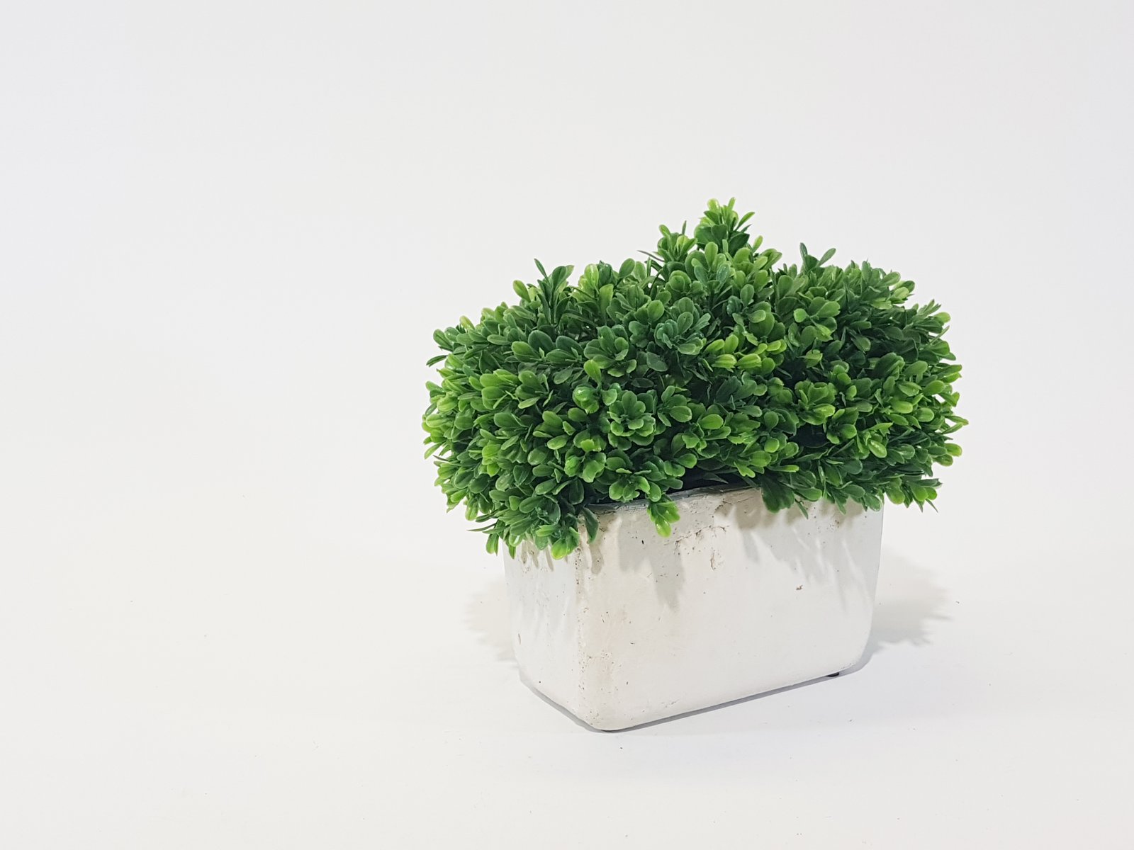 Matero Rectangular Base Blanca Flor Verde Repollo