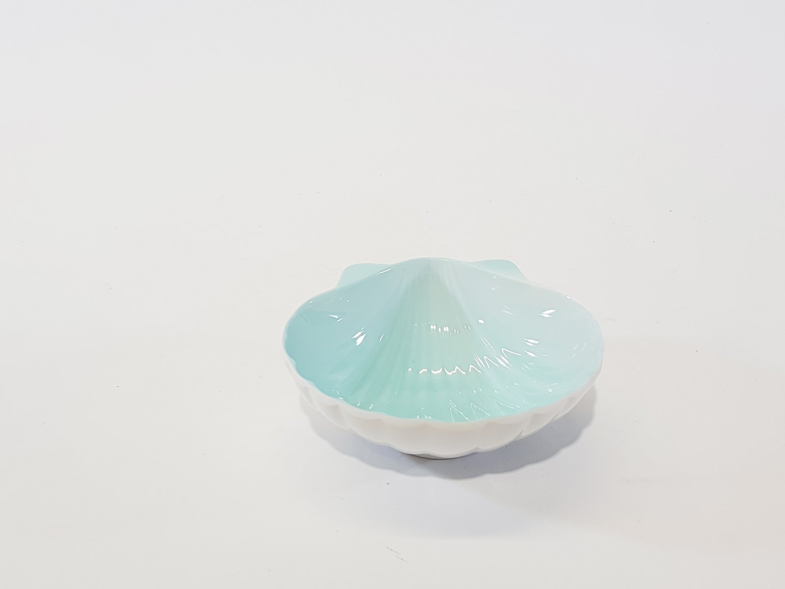 Salsera Forma Concha Fondo Agua Marina