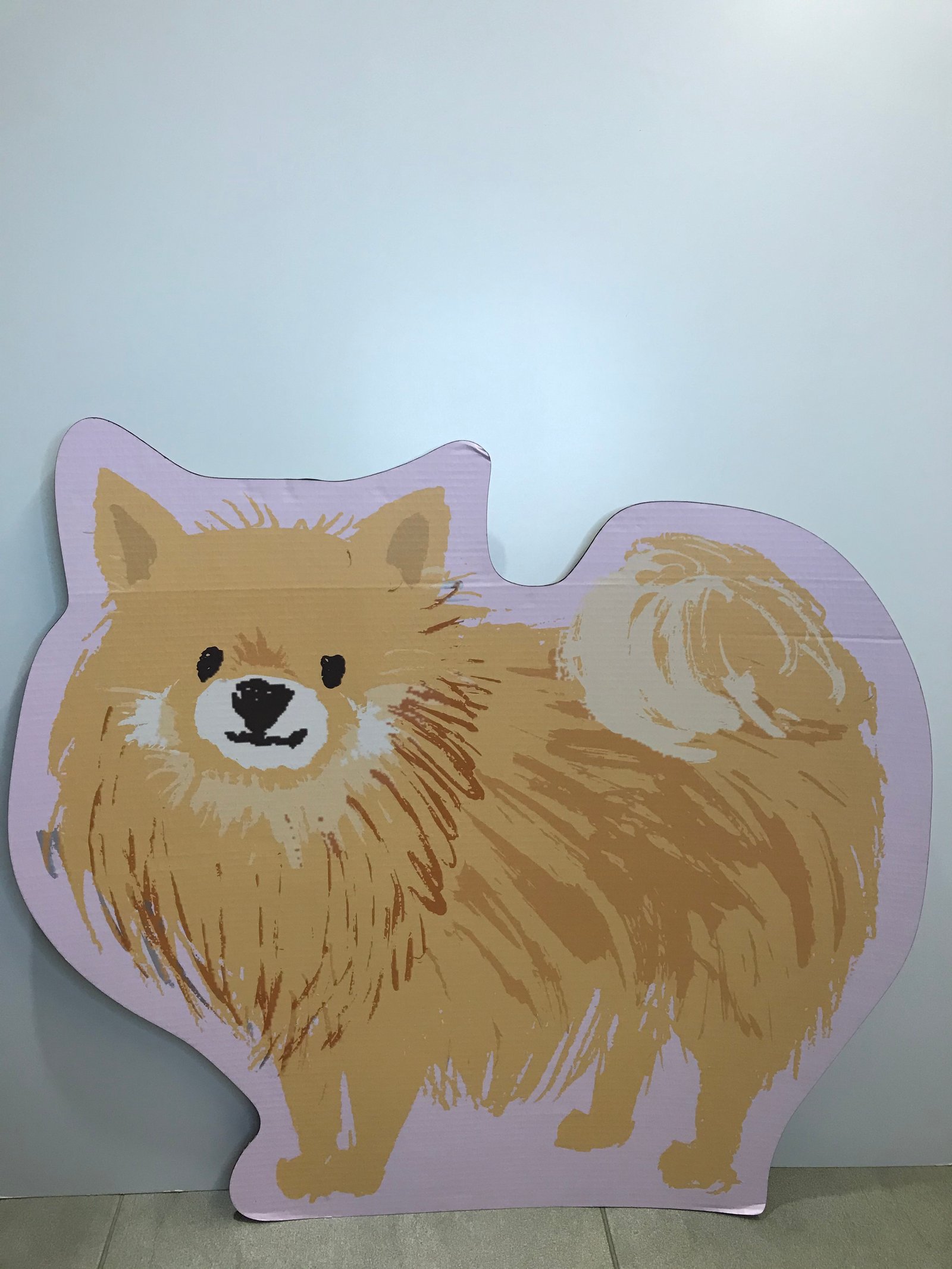 Perro Pomeranian Amarillo Carton