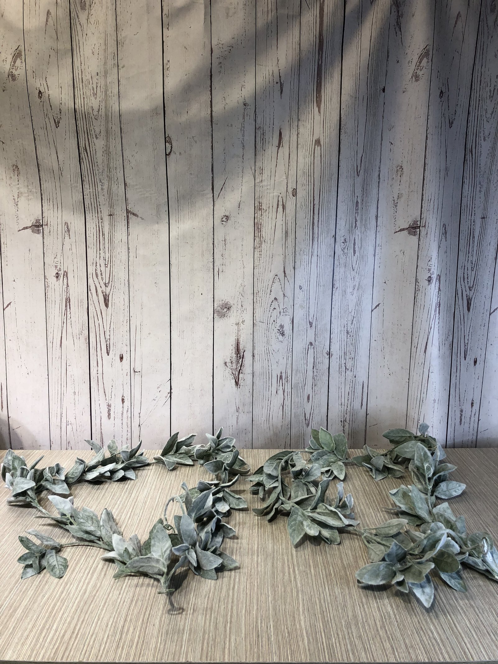 Rama Larga Verde Oreja De Cordero