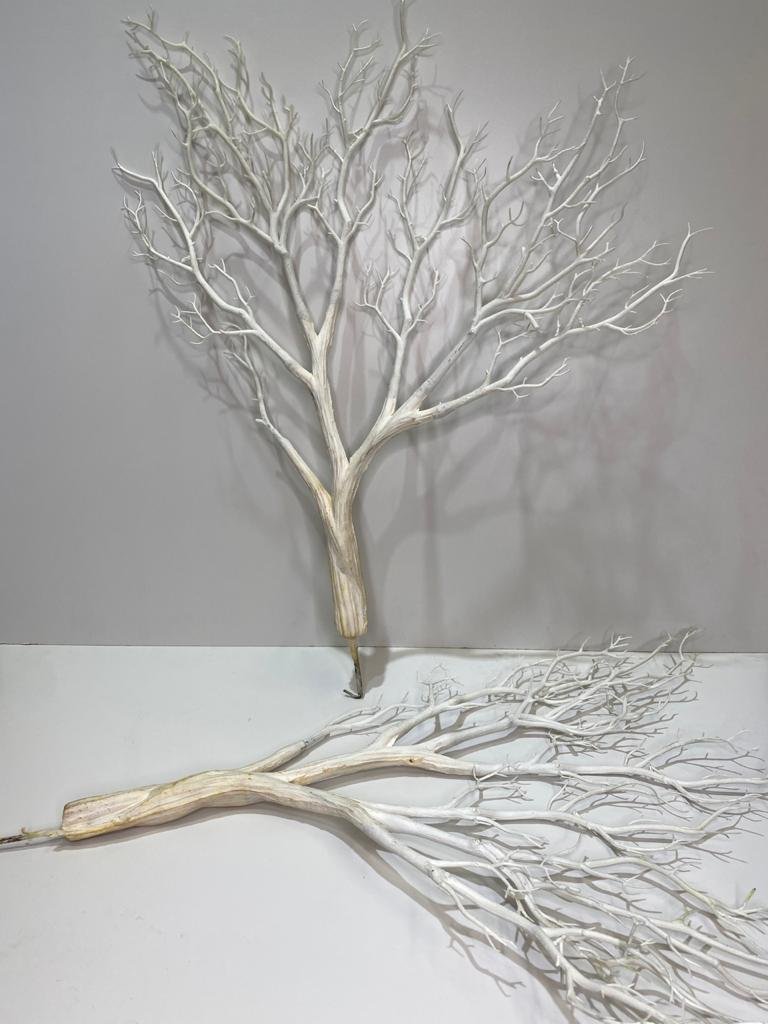 Chamizo Blanco Para Anclar