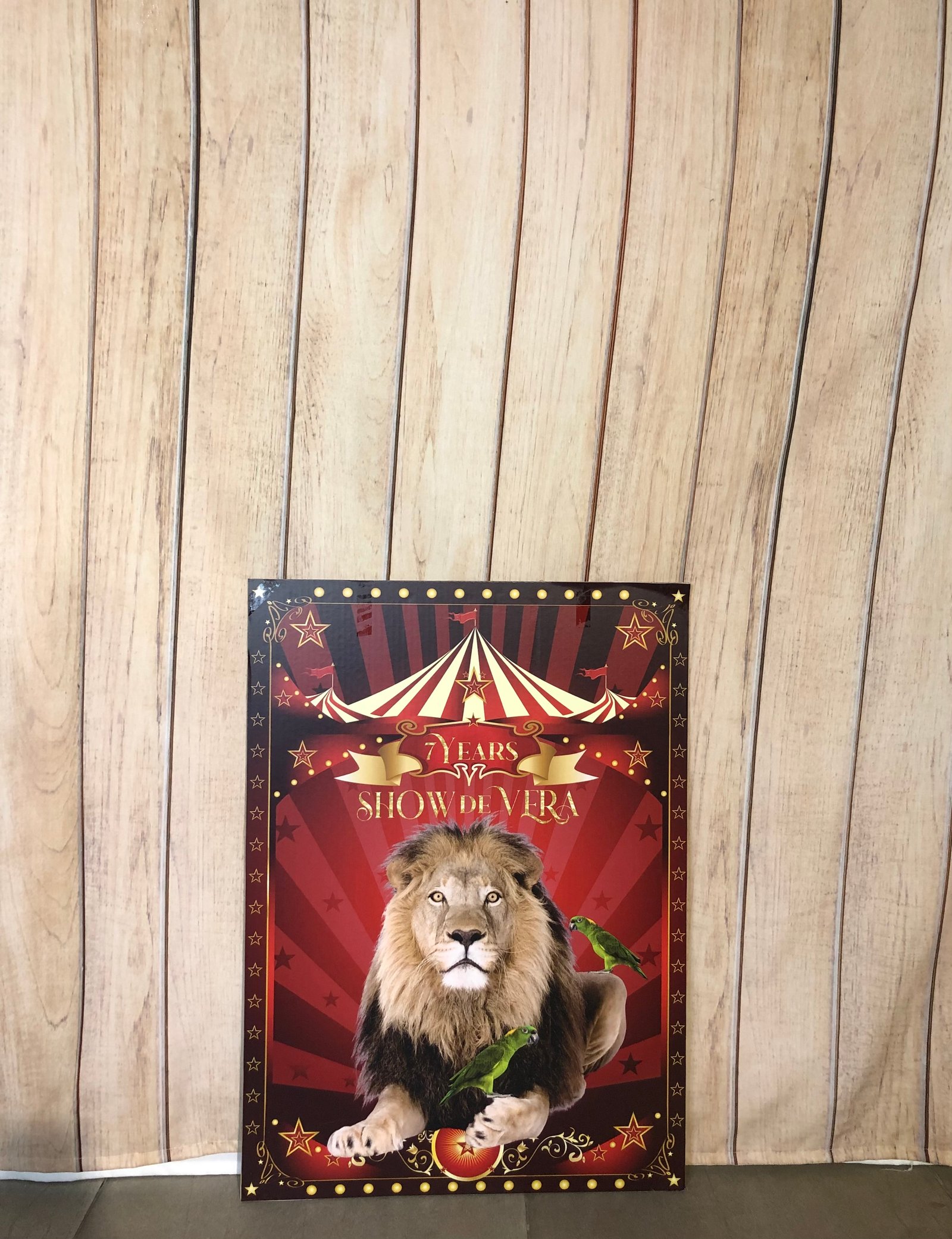 Placa Carton Rectangular Leon Circo