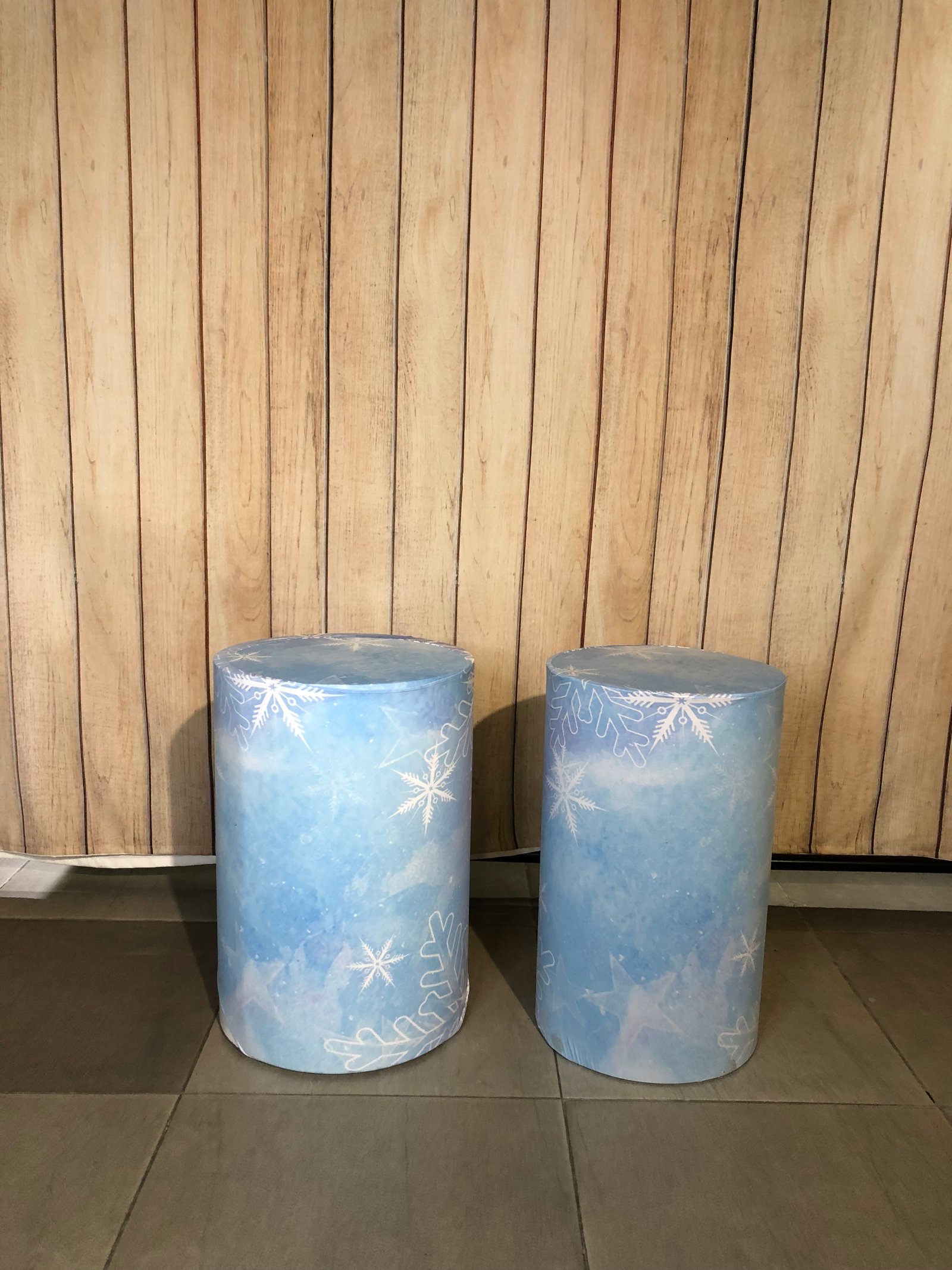 Cilindro Pequeño Tela Frozen